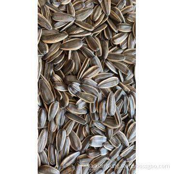 sunflower seeds